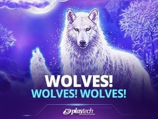Wolves Wolves Wolves thumbnail